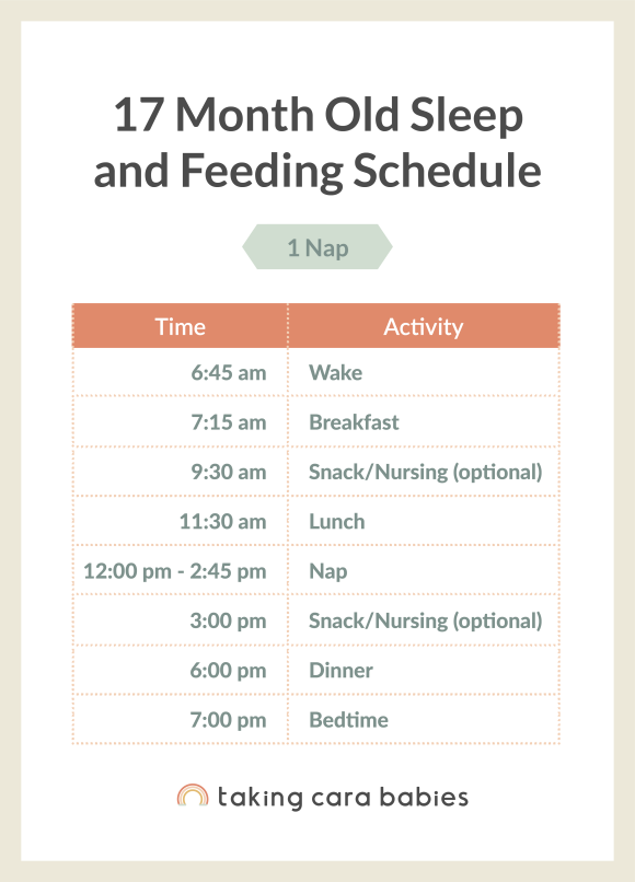 17 Month Old Sleep Schedule Taking Cara Babies