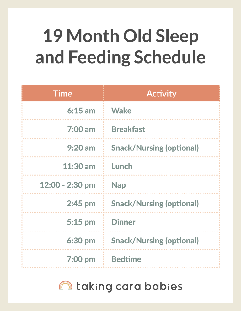 19 Month Old Sleep Schedule Taking Cara Babies