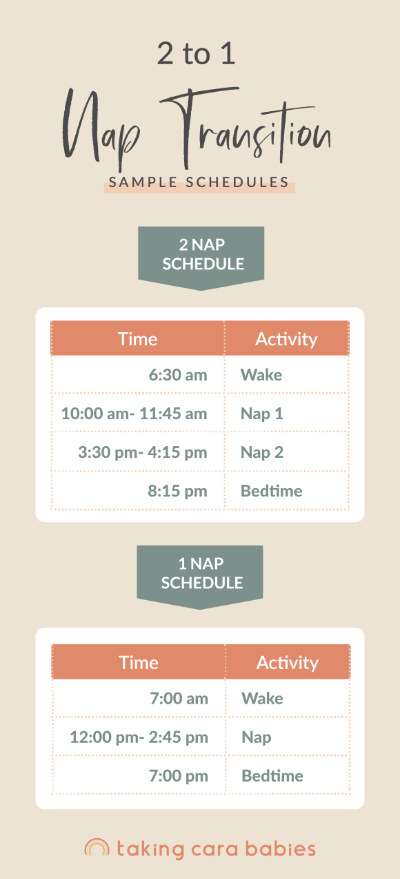 Transitioning from 2 Naps to 1 Taking Cara Babies