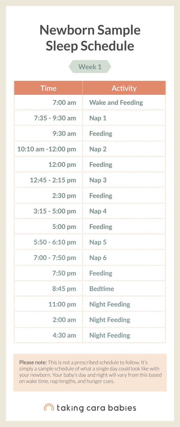Newborn Sleep Schedule Taking Cara Babies