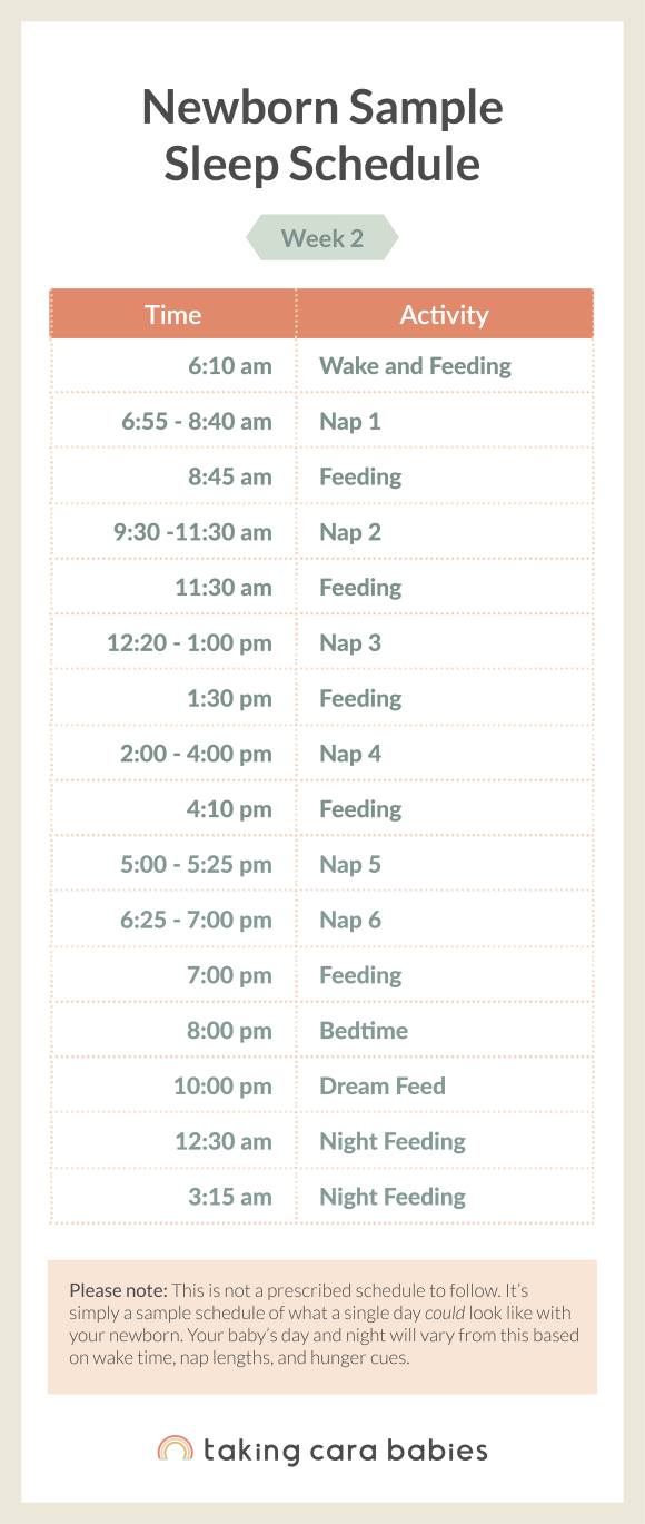 Newborn Sleep Schedule Taking Cara Babies
